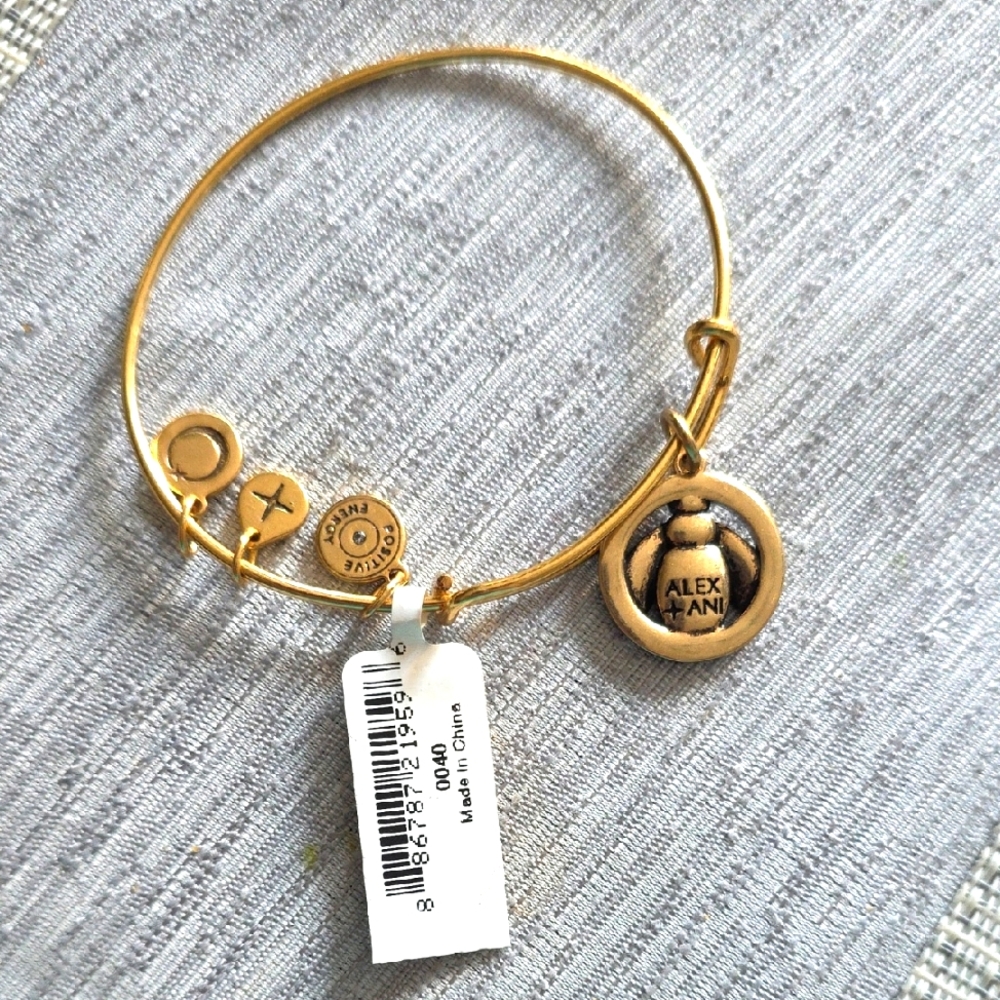 Alex and Ani Gold Charm Bracelet